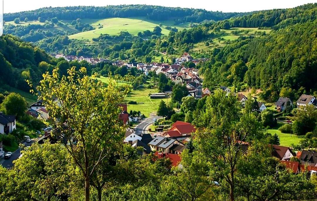 Geishoehe Landgasthof Rose Dammbach Esterno foto